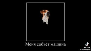 ПОФИГ ТЕБЕ ДА?