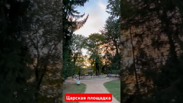 Огромные ели на Царской площадке в Кисловодском парке #кисловодск