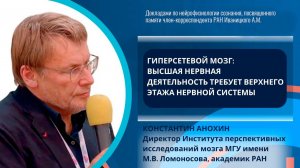 Гиперсетевой мозг. Константин Анохин