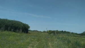 Исчезнувшая деревня Счастливка, Ртищевский район.