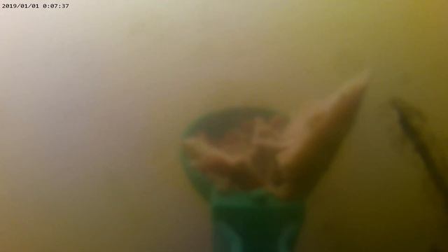 подводная рыбалка 7 Съёмка на реакцию рыбы под водой