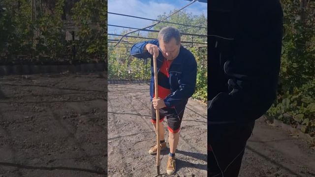 Как проще жить?