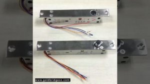 ACM-Y500A Electronic Bolt LOCK