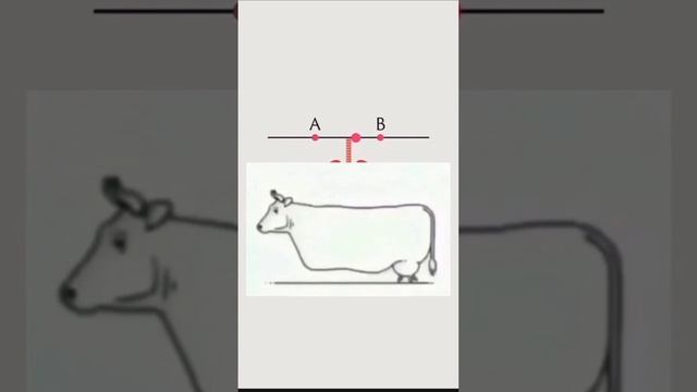 Задержать дыхание.mp4