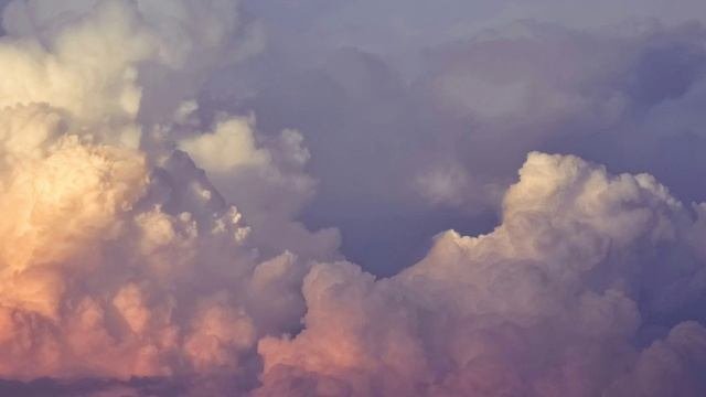 Edith Whiskers | Home | Lyrics