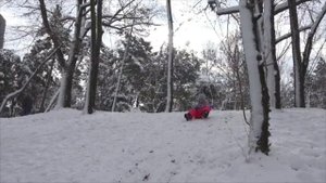 Free time activities. beehive1-culture-video-unit-3