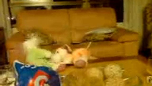 pepotes y sus muñecos смотреть онлайн