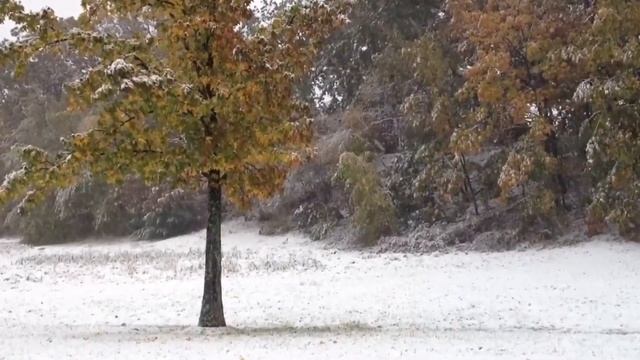 ОСЕННИЙ СНЕГ 3 Футаж вырезанный смотреть онлайн
