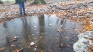 Прогулка в лесу зимой Купание в ледяной луже