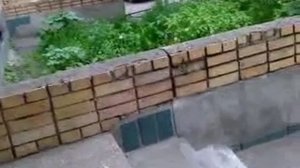 Прикол по домофону 2!!!