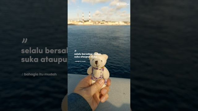 Санкт-Петербург 
с моментами
для мишки