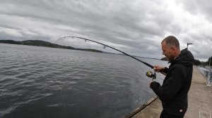 Приехали за скумбрией ,а НАЛОВИЛИ ТРОФЕИ НА ДОНКУ