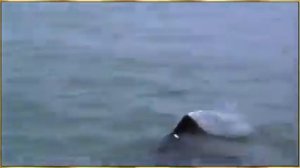 Новогагатли