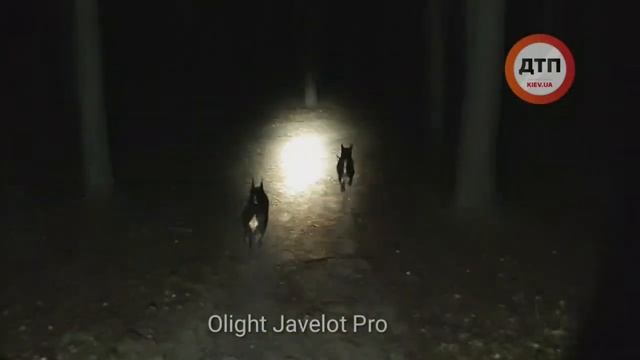 Самый мощный и дальнобойный из компактных: поисково-спасательный прожектор Olight Javelot Pro 1 к смотреть онлайн