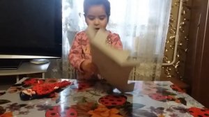 Распаковка куклы Леди Баг