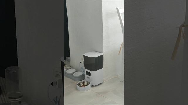 Автоматическая кормушка для кошек с таймером и камерой Super goods for you