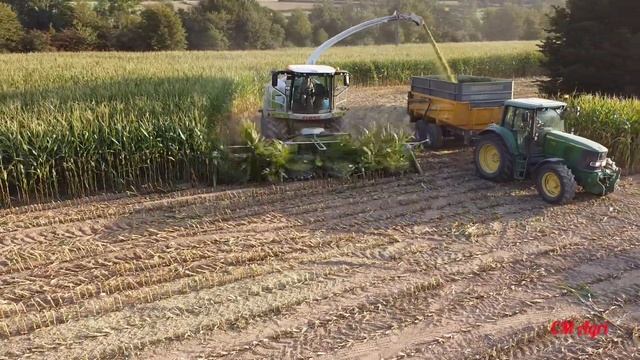 Ensilage de maïs 2020 avec une CLAAS JAGUAR 950