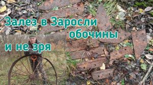 Поехал докопать очищенную обочину а откопался в зарослях