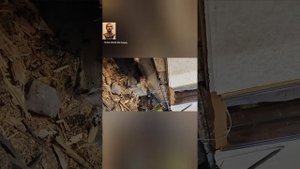 КАК СПАСТИ СВОЙ ДОМ ОТ ГНИЕНИЯ И ГНИЛИ И ПЛЕСЕНИ. ОБРАБОТКА ДРЕВЕСИНЫ БРЕВНА ОТРАБОТКОЙ