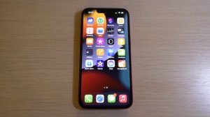 iPhone 13 Incoming Call