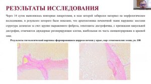 С6. Экспериментальное обоснование моделирования цирроза печени.