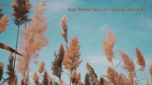 Dub Techno Session - Spring Edition #3