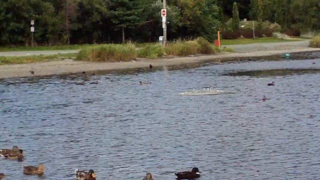 1/144 SCALE HMS HOOD смотреть онлайн