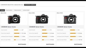 Nikon D300s Большой обзор в 2022 году Топовый кроп