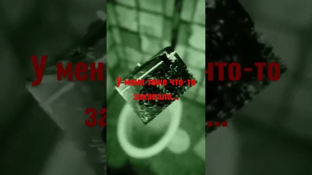 #summerof58 Что-то закапало #screem #horrorstories #shorts