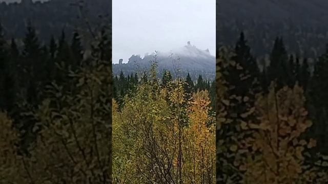 А вот мы уже спустили с горы, и гора решила себя показать #шепски #хаски #овчарка