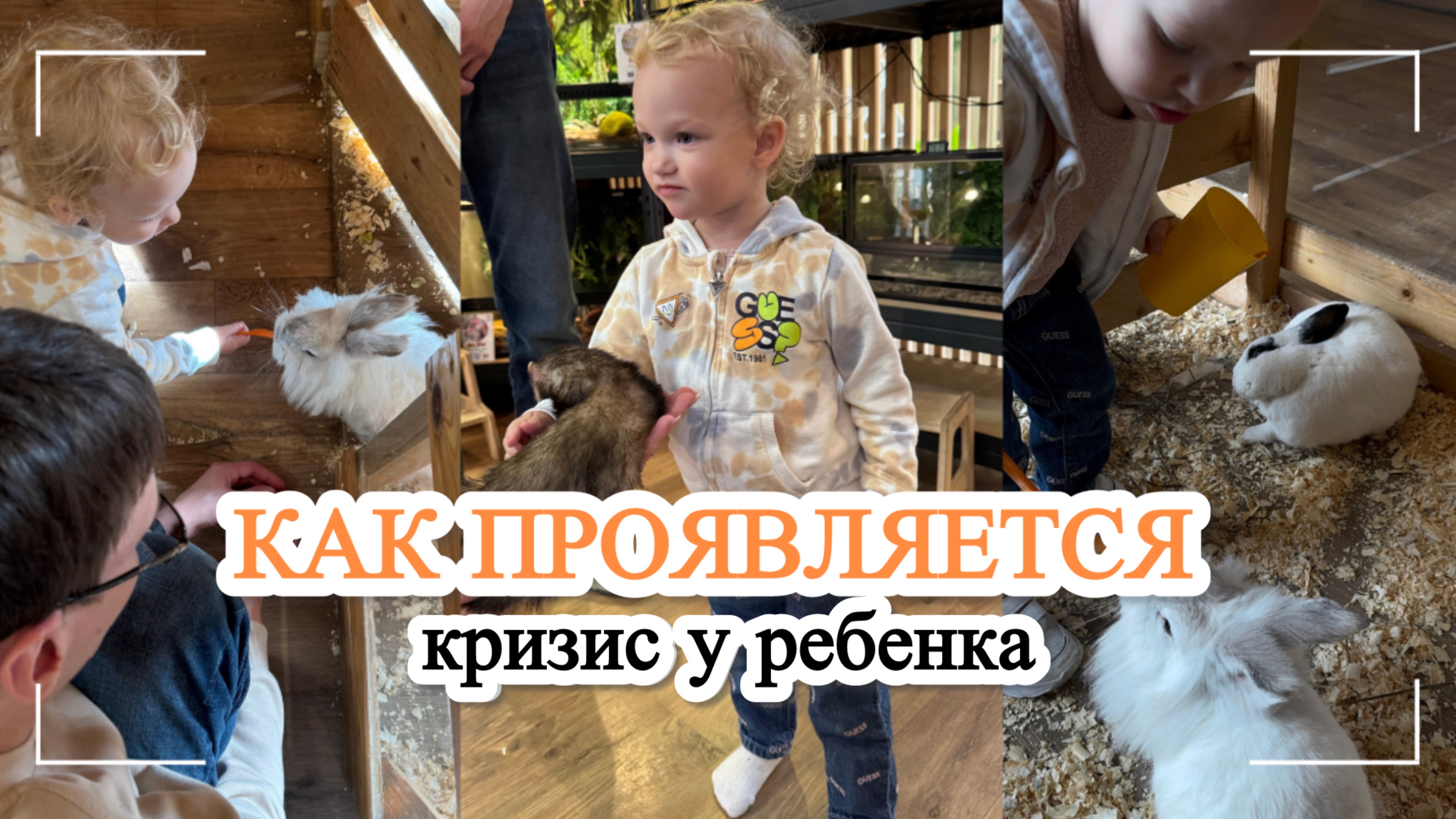 КАК ПРОЯВЛЯЕТСЯ ДЕТСКИЙ КРИЗИС 2-3 лет / СЛОЖНЫЕ ДНИ МАМЫ В ДЕКРЕТЕ / ИСТЕРИКИ РЕБЕНКА