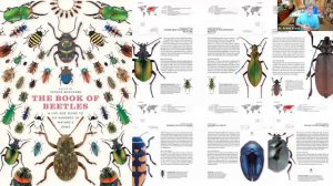 Purdue Entomology Seminar Series - Fall 2021 - Dr. Arthur V. Evans