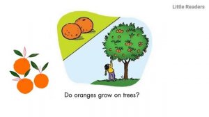 What Grows On Trees ? By Liza Charlesworth l First Little Readers (Level B) l Read aloud book📚
