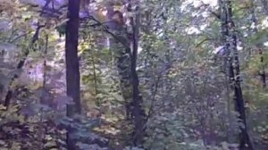 Назад в ГСВГ. Эпизод 111й. Тойпиц-госпиталь.часть первая.