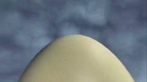 Инфекционные заболевания и их профилактика