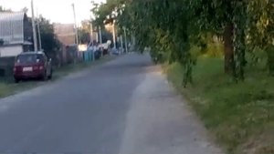 Вызов смайл дога на улице