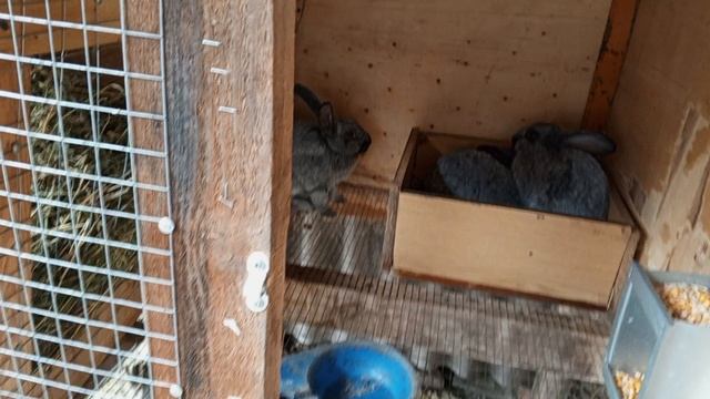 подарок от Андрея из Краснодара