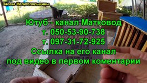 Матки от матковода Игорь Йовбак
