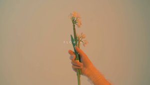 Реклама магазина доставки Flowers