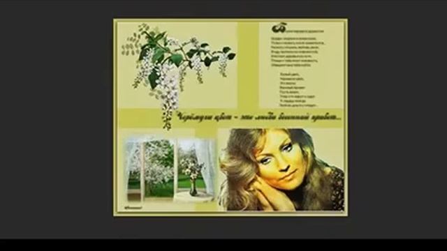 Соловьиных ночей не забыть, Стихи Надежда Абалмасова, муз. и исп. #СамуилФрумович смотреть онлайн