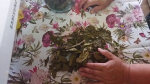 Щавель первый раз сушила. Наверное надо было пред сушкой бланшировать его.