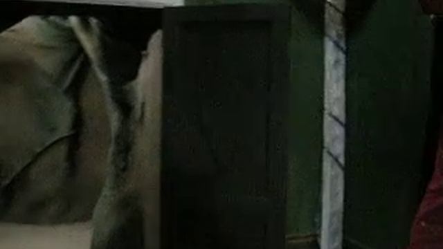 mac doors смотреть онлайн