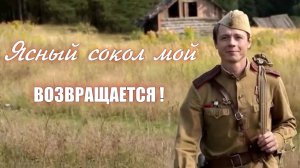 ЯСНЫЙ СОКОЛ МОЙ ВОЗВРАЩАЕТСЯ! Любовь Великанова.Песня о войне, любви и верности.