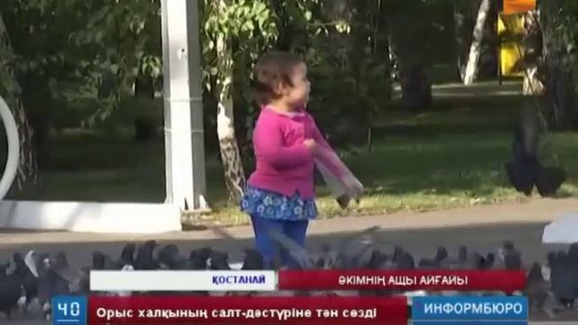 Әкімнің ащы айқайы смотреть онлайн