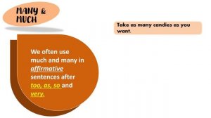 Quantifiers (Some / Any / Many / Much / A lot of / Lots of / Little / Few)