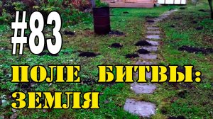 #83 Поле битвы: земля!!!