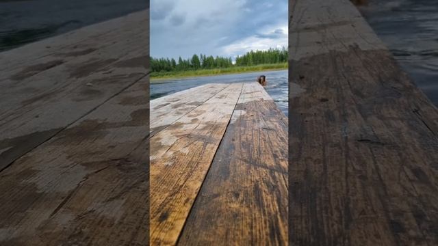 Вот я и на месте #уралочка #деревенскаяжизнь #уральскаяприрода