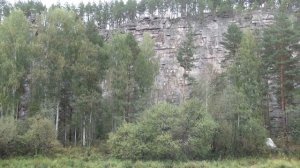 за грибами