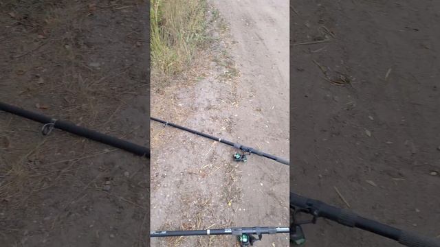 Я рыбак наверное #рыбалка #shorts #fishing