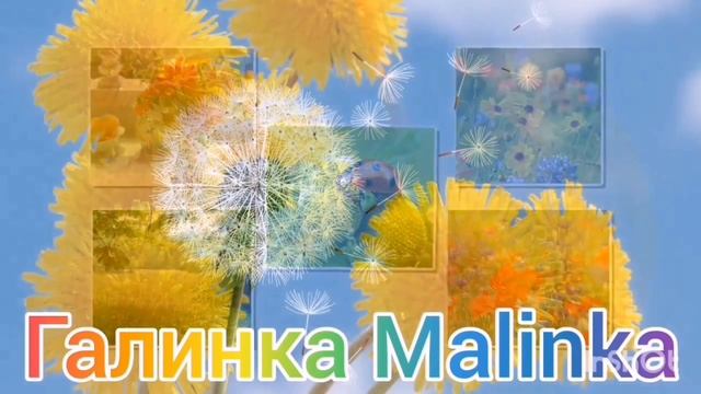 Деревенский дневник /Шок /Что задумала Быкова /Обзор Влогов /Мать-героиня /Леля Быкова /